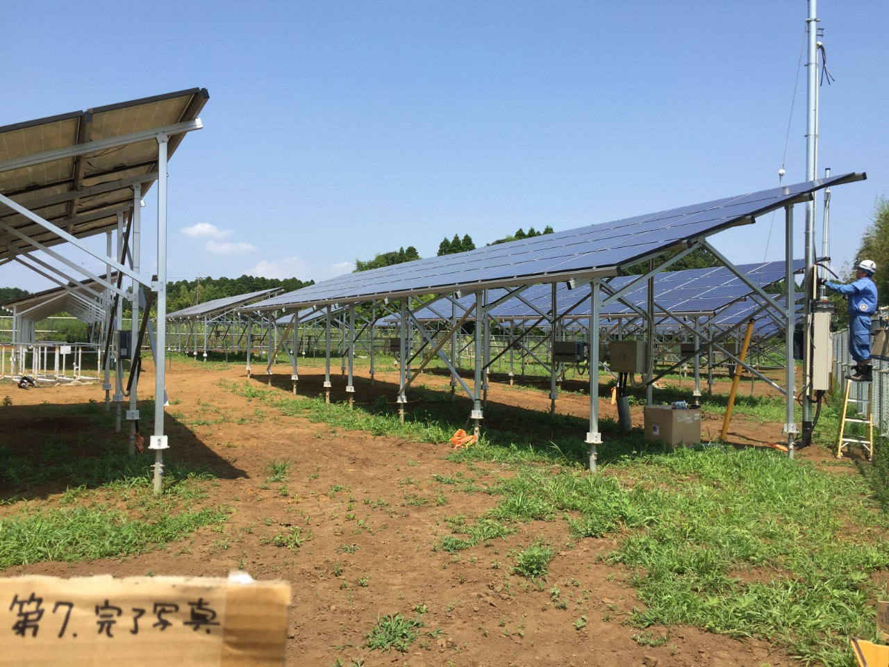 株式会社ダイアグラム